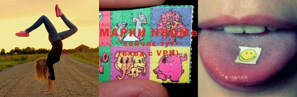 ALPHA PVP Богородицк