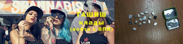 прущие грибы Верхний Тагил