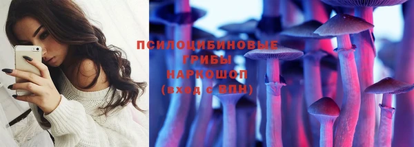 ALPHA PVP Богородицк