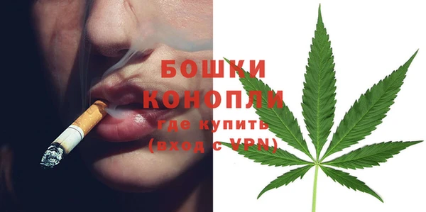 ALPHA PVP Богородицк