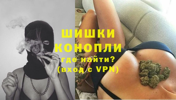 ALPHA PVP Богородицк