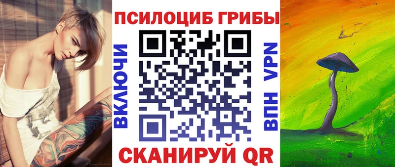 цены наркотик  ОМГ ОМГ онион  Псилоцибиновые грибы мухоморы  Вичуга 